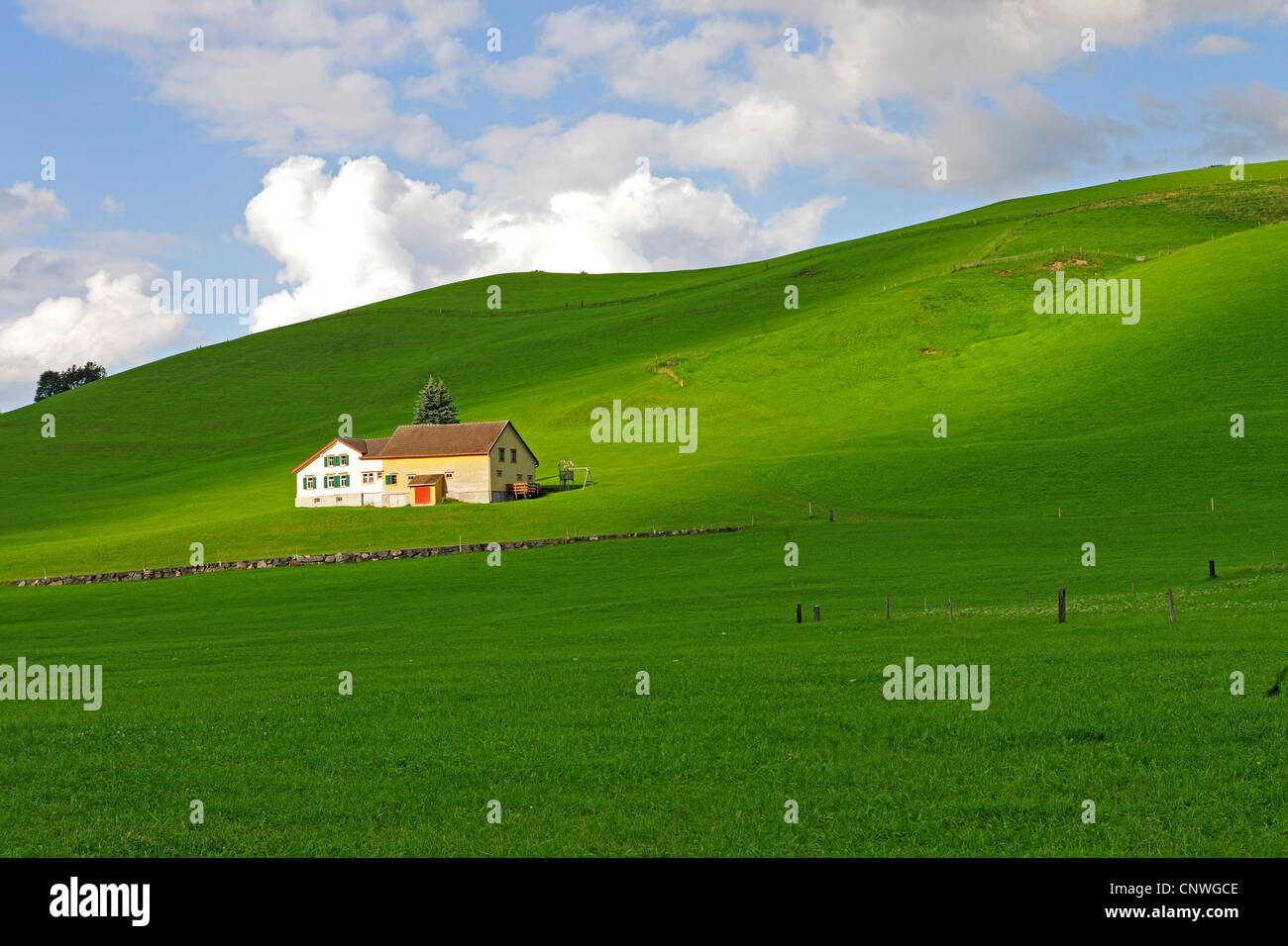 Agriturismo e verdi pascoli, Svizzera, Kanton Appenzell Foto Stock