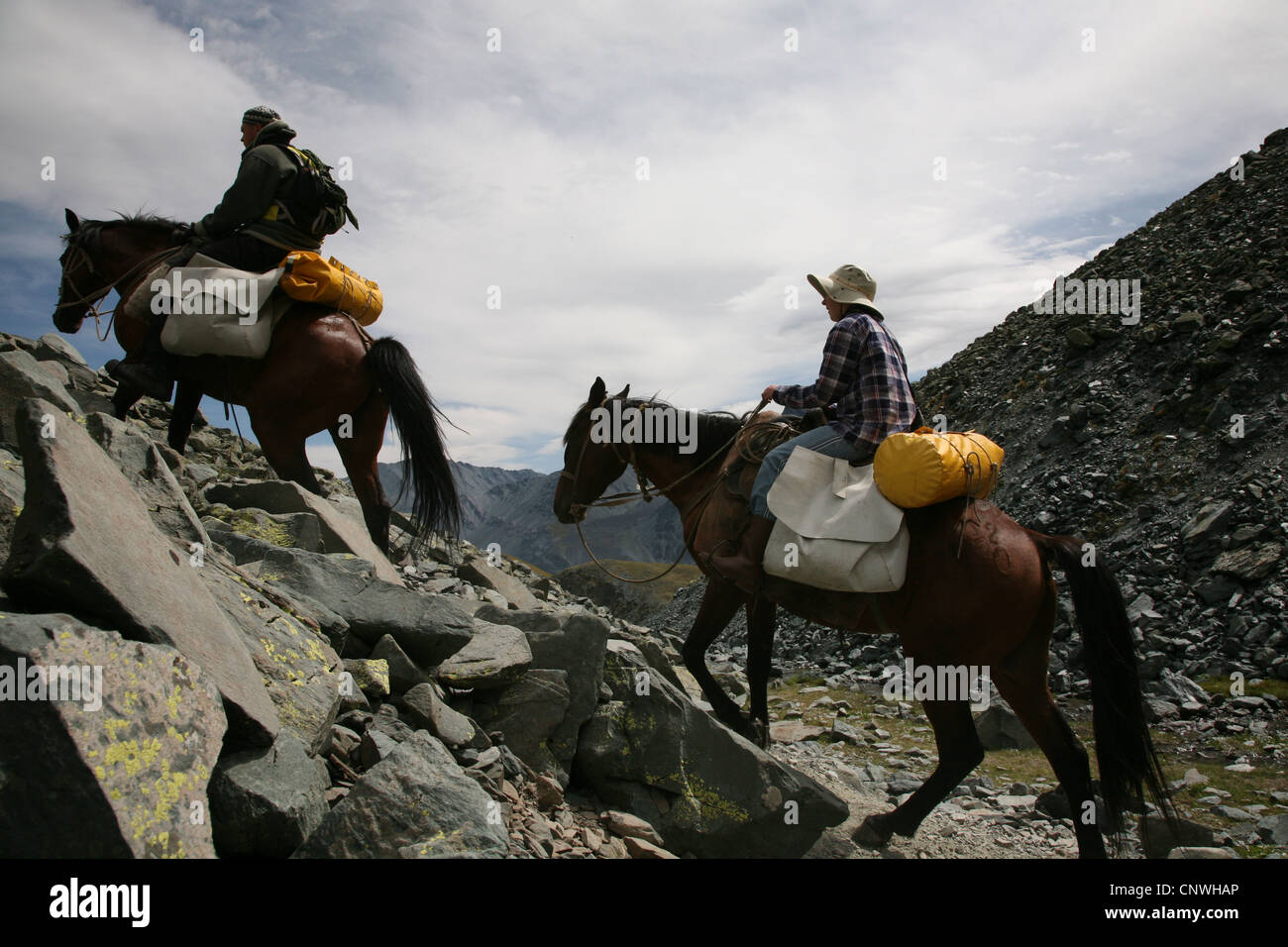 Trekking a cavallo nelle montagne di Altai, Russia. I cavalli di salire al passo di montagna Karaturek (3,060 m). Foto Stock