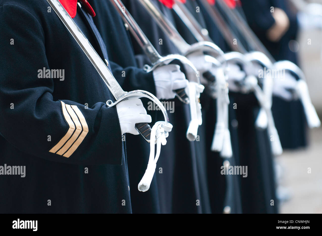Regina della Guardia, Cavalleria per uso domestico Foto Stock
