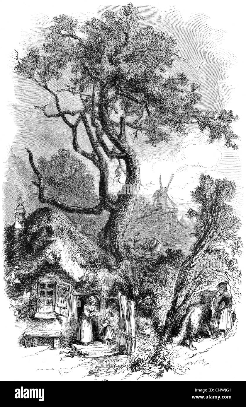 Letteratura, fiabe, 'Cappotto Rosso piccolo', scena, Capo Rosso piccolo e il lupo, incisione in legno, 19 ° secolo, diritti aggiuntivi-clearences-non disponibile Foto Stock