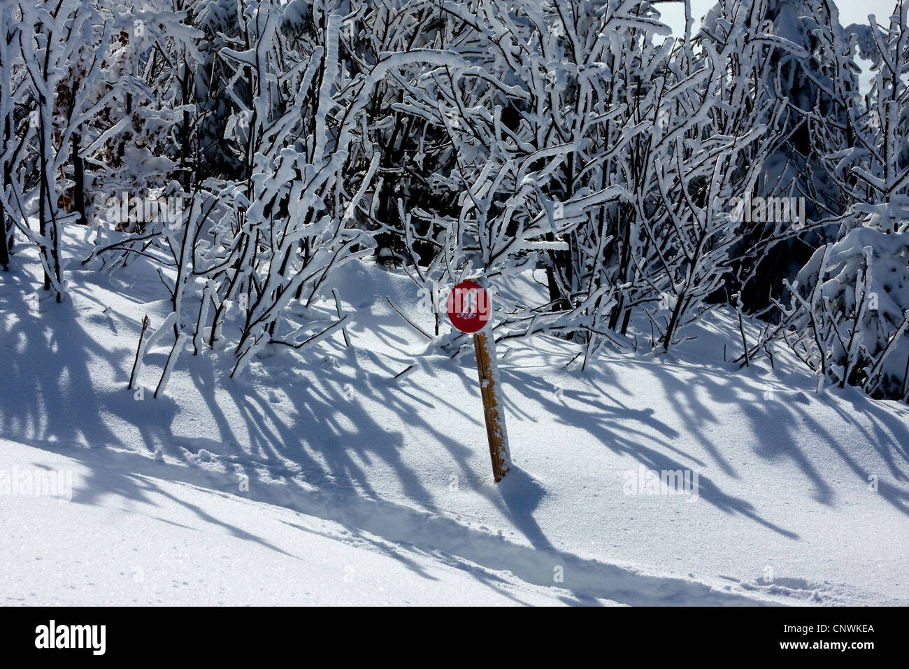 Piste di sci da fondo descritto da un segno in un paesaggio innevato al Schwarzwaldhochstrasse, GERMANIA Baden-Wuerttemberg, Foresta Nera, Hornisgrinde Foto Stock