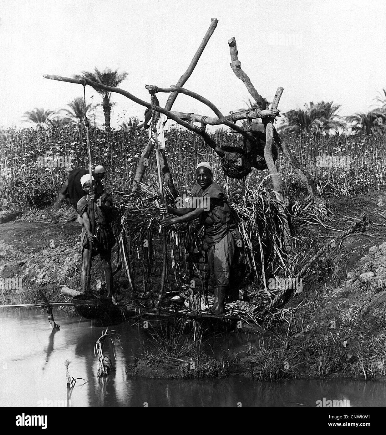 Geografia / viaggio, Egitto, agricoltura, irrigazione, ombra, fotografia di G. Lekegian e Co., fine del 19 ° secolo, storico, storico, ombra, irrigazione, irrigazioni, popolazioni indigene, Agyptian, contadino, Fellah, Chaduf Shaduf, acqua, irrigazione, fiume Nilo, bene, pozzi, diritti aggiuntivi-clearences-non disponibili Foto Stock