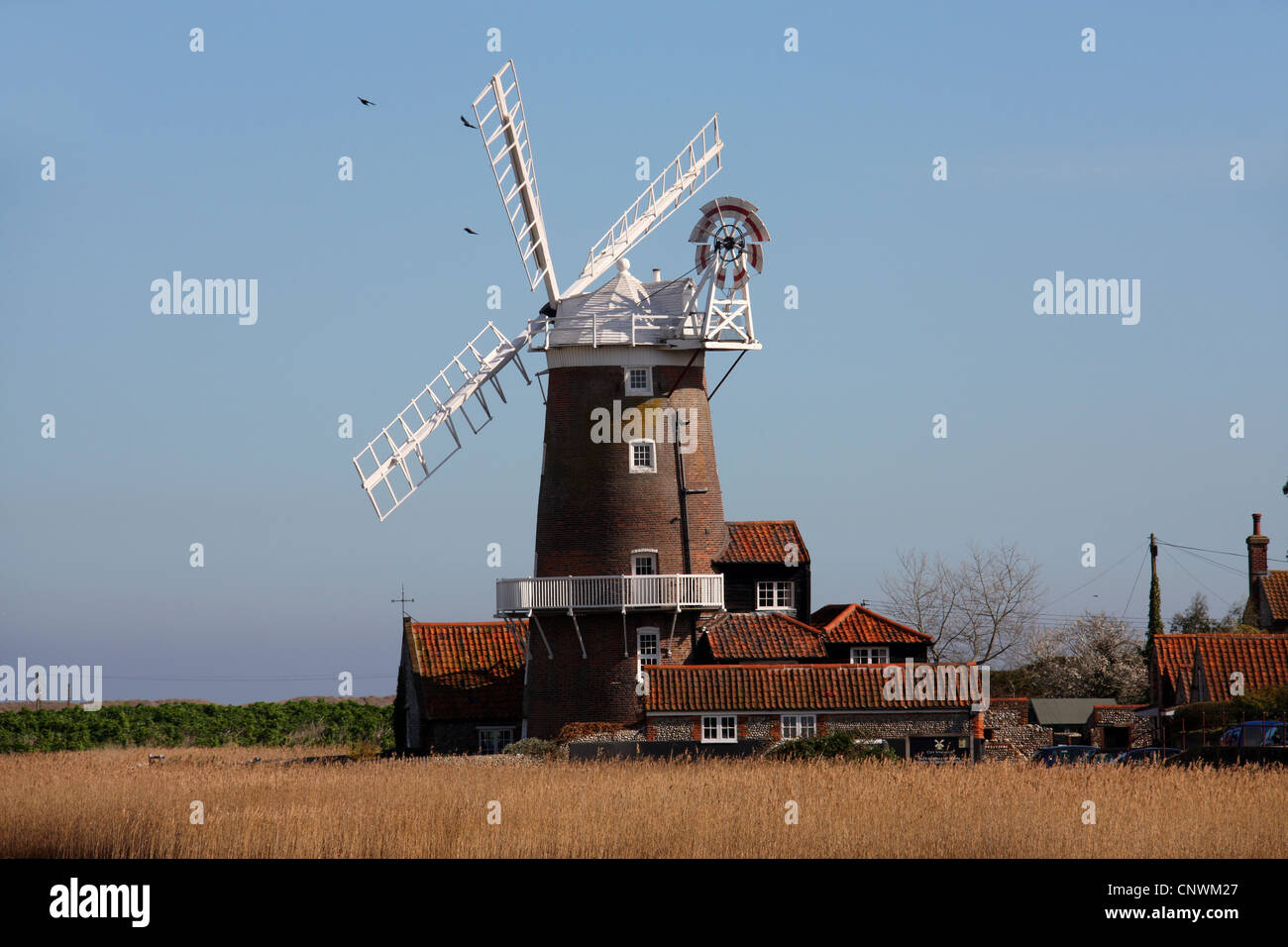 Cley Windmill Cley accanto al mare, Norfolk, Inghilterra. Foto Stock