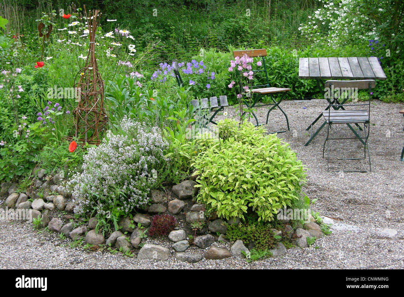 Letto di erbe in un giardino, Germania Foto Stock