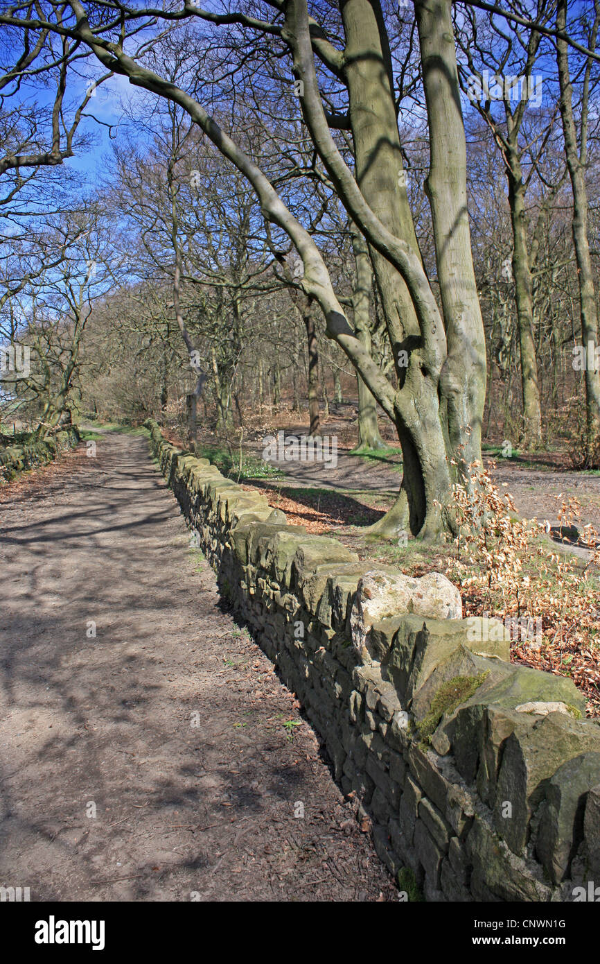 Royds Hall Lane, un antico autostrada attraverso Judy Woods, Bradford Foto Stock