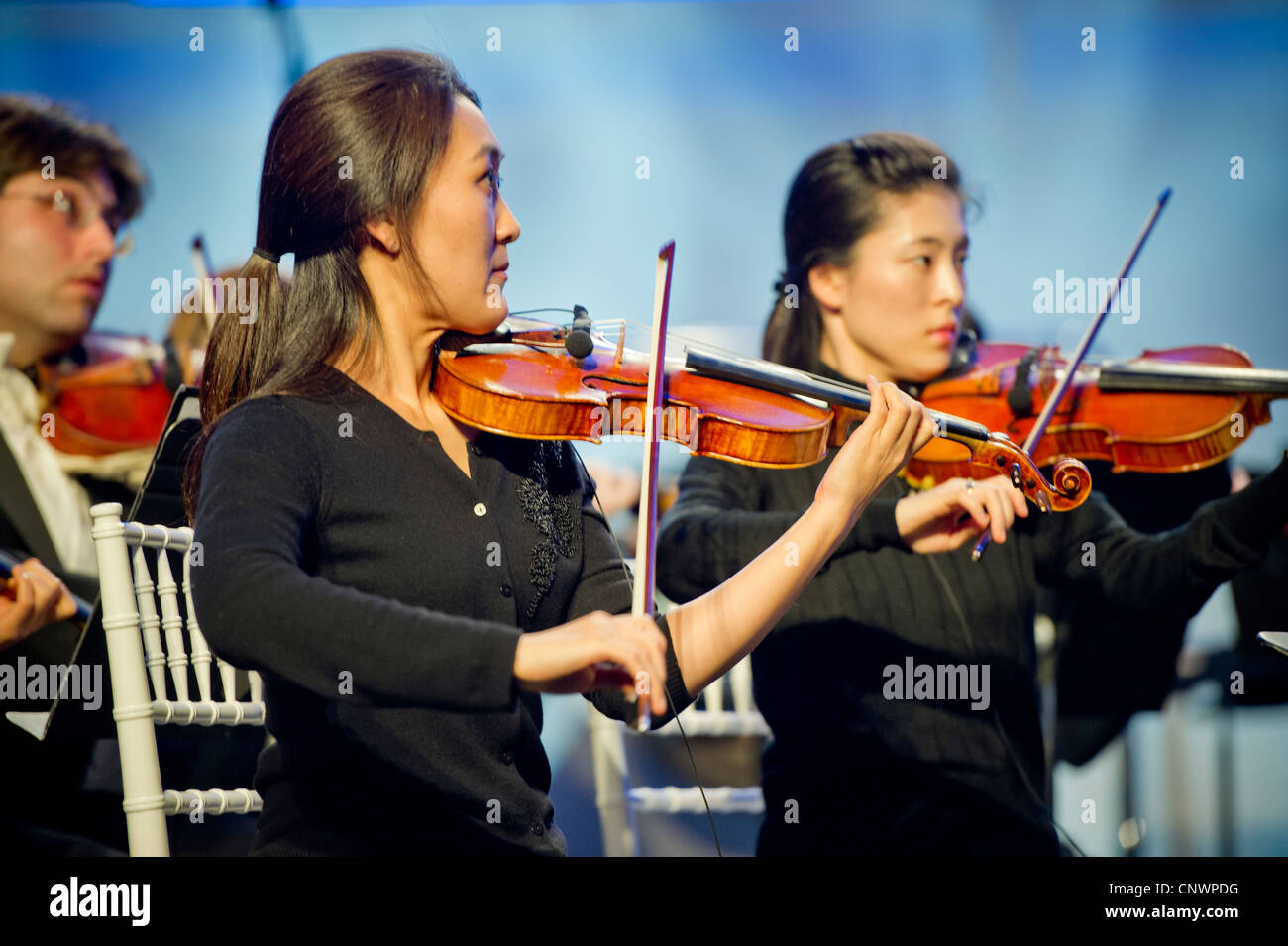 Le giovani donne a suonare il violino in un'orchestra Foto Stock
