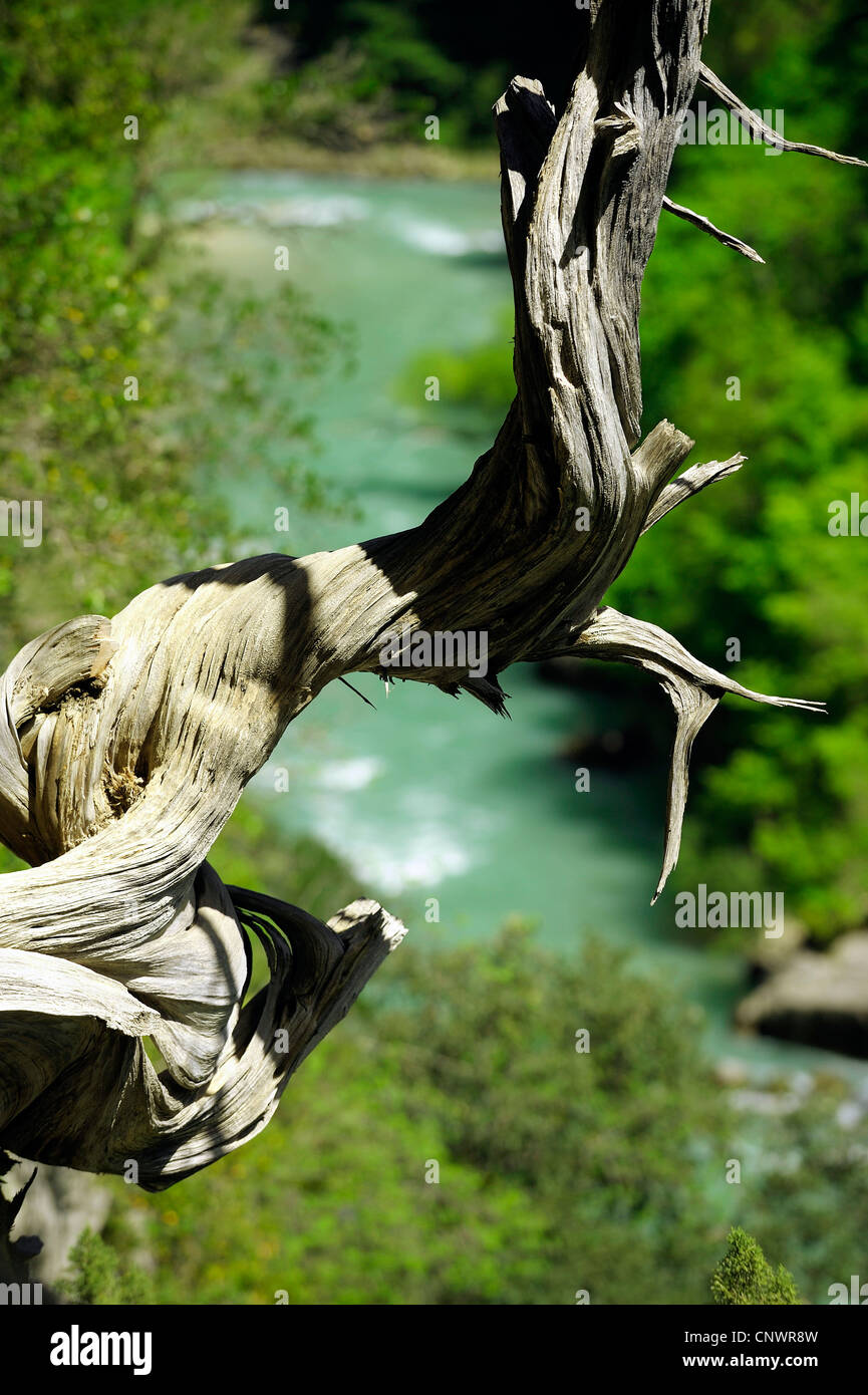 Gole del Verdon nel sud est della Francia, Francia Provenza Foto Stock