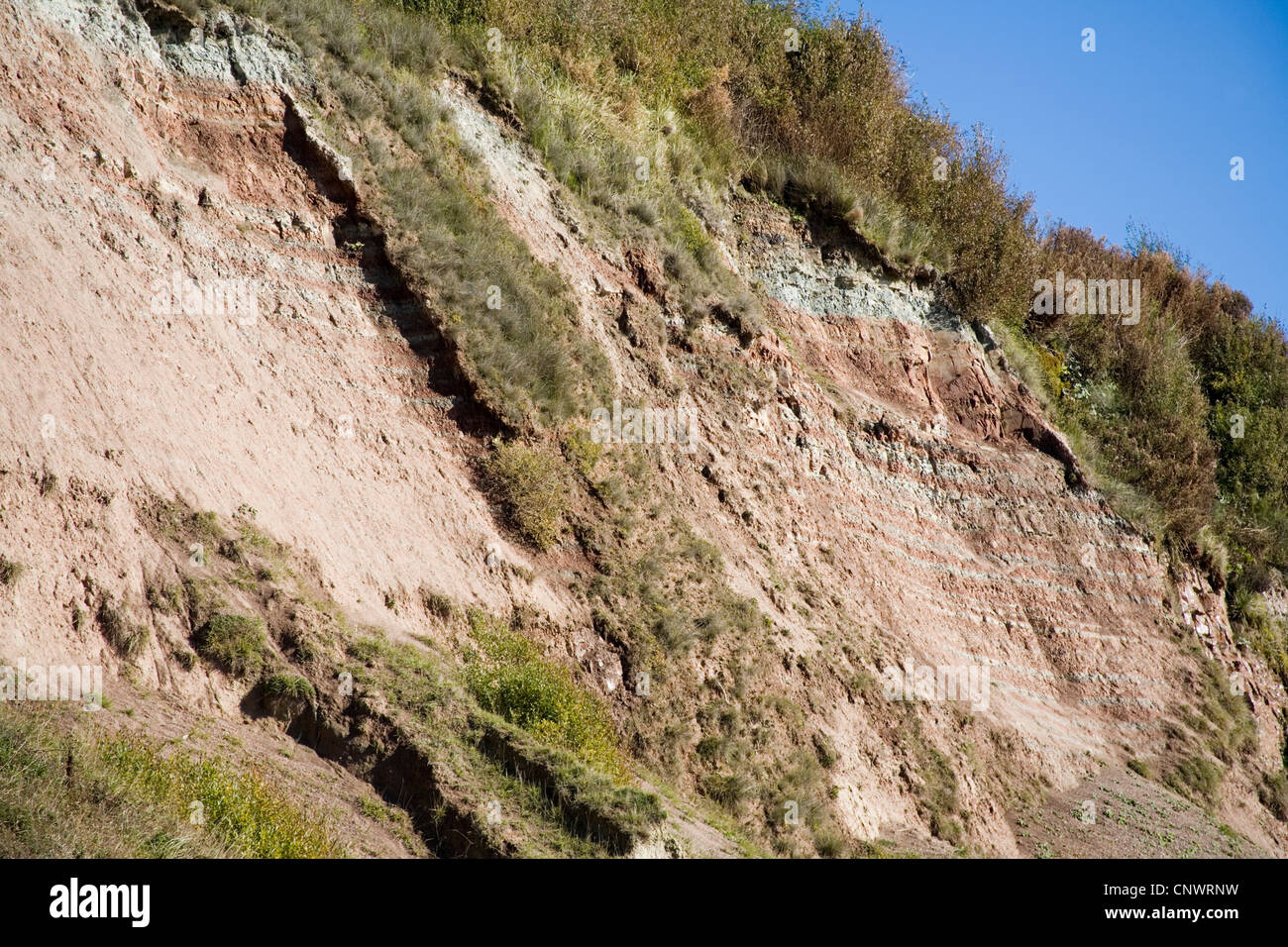 Erosione costiera Foto Stock