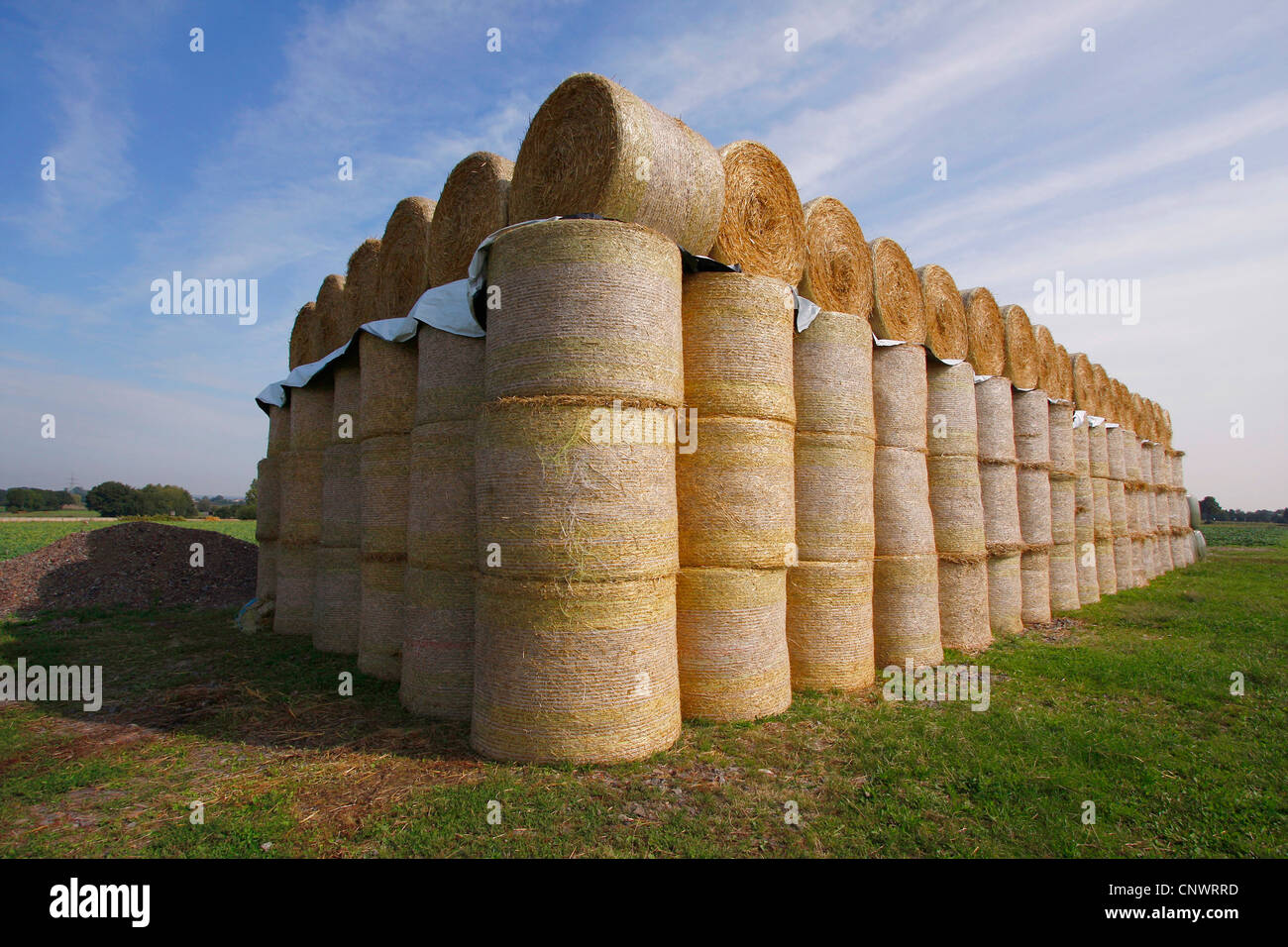 Balle di fieno, l'alimentazione per l'inverno, Germania Foto Stock