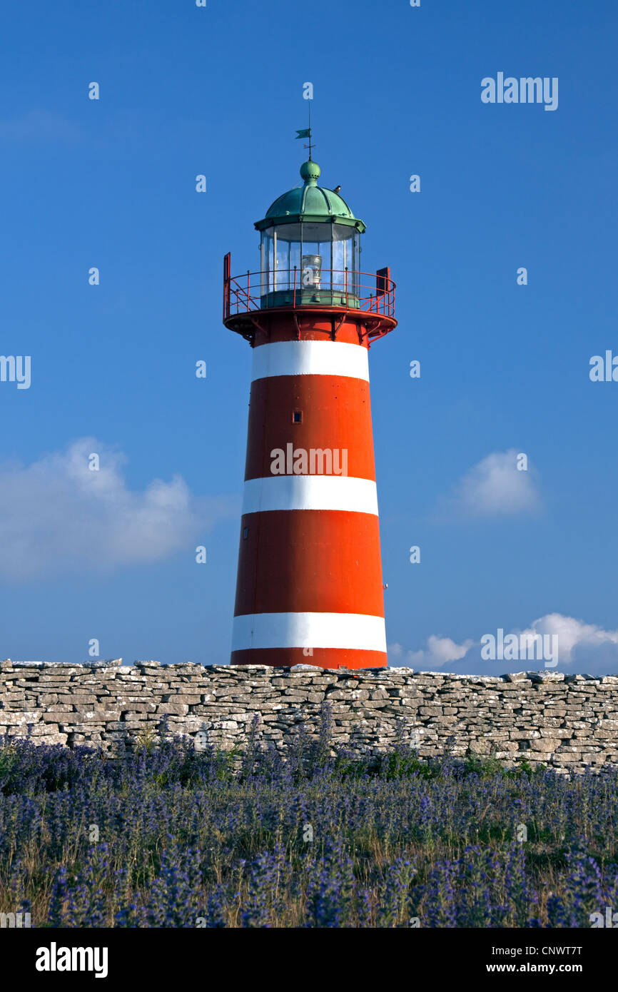 Il rosso e bianco faro Närs fyr a Närsholmen sull'isola di Gotland, Svezia Foto Stock