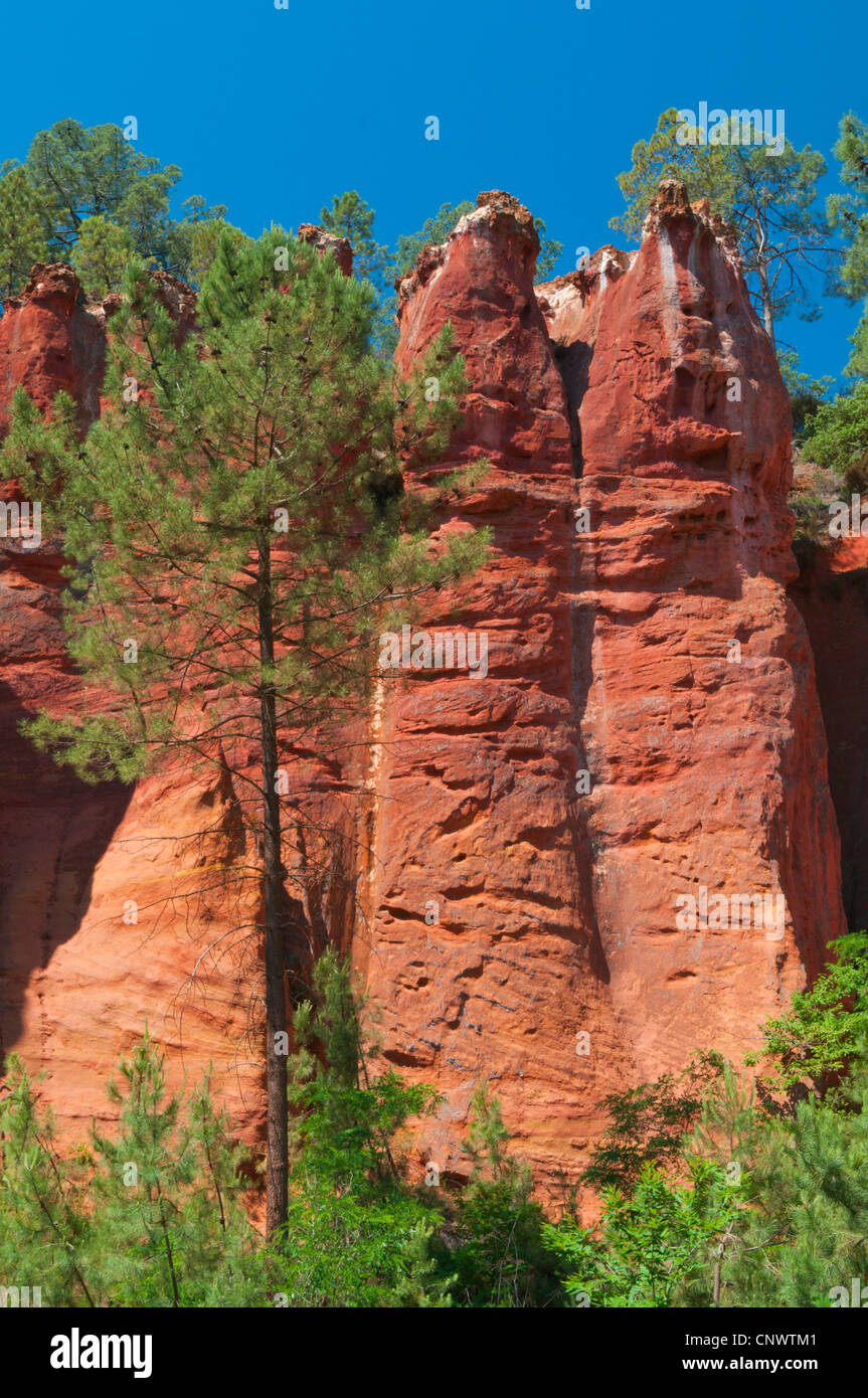 Le rocce color ocra di Roussillon, Francia, in Linguadoca Rossiglione, in Provenza Roussillon Foto Stock