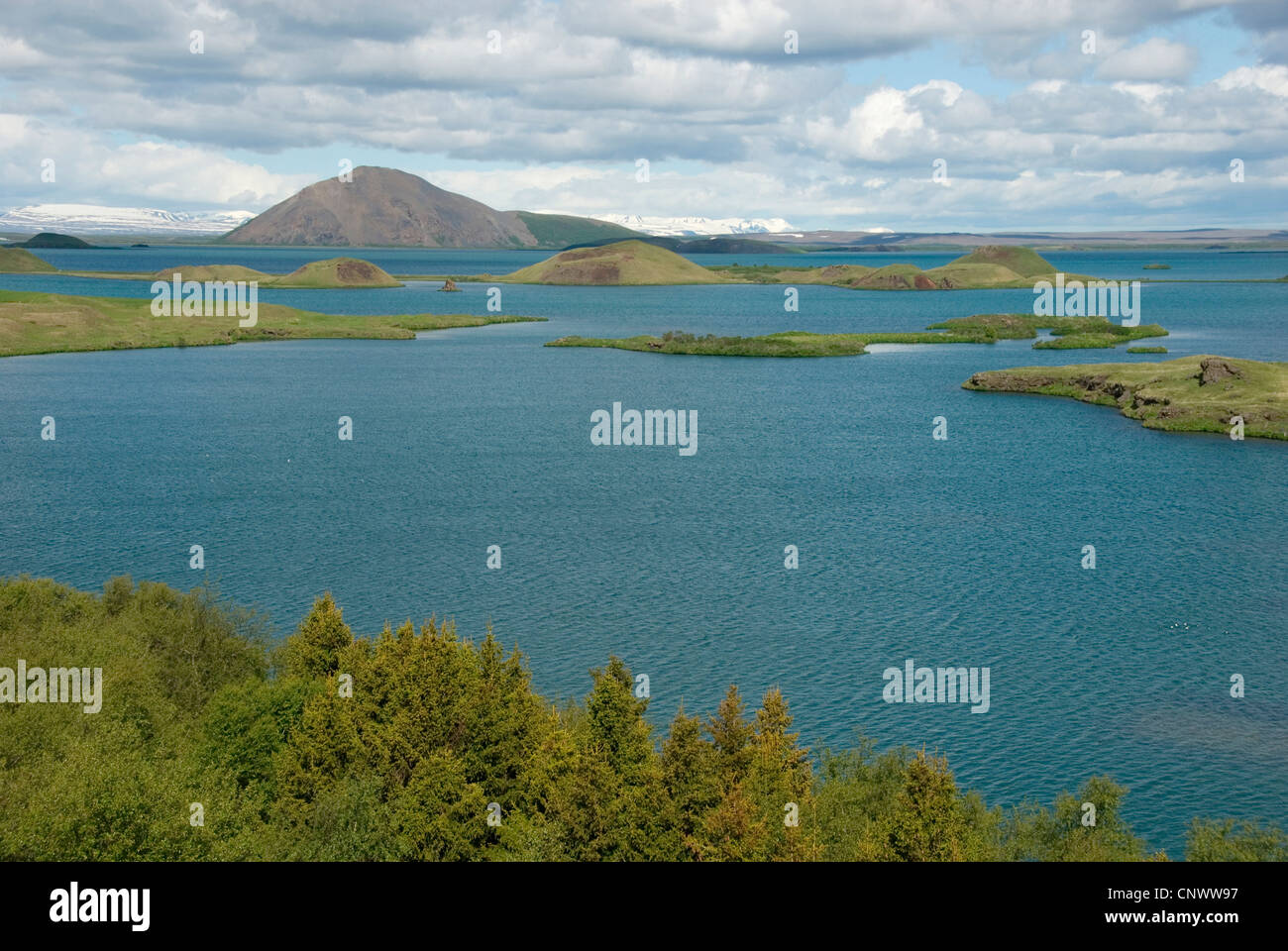 Vista sulla Mvatn (lago di moscerini), Islanda, Myvatn Foto Stock