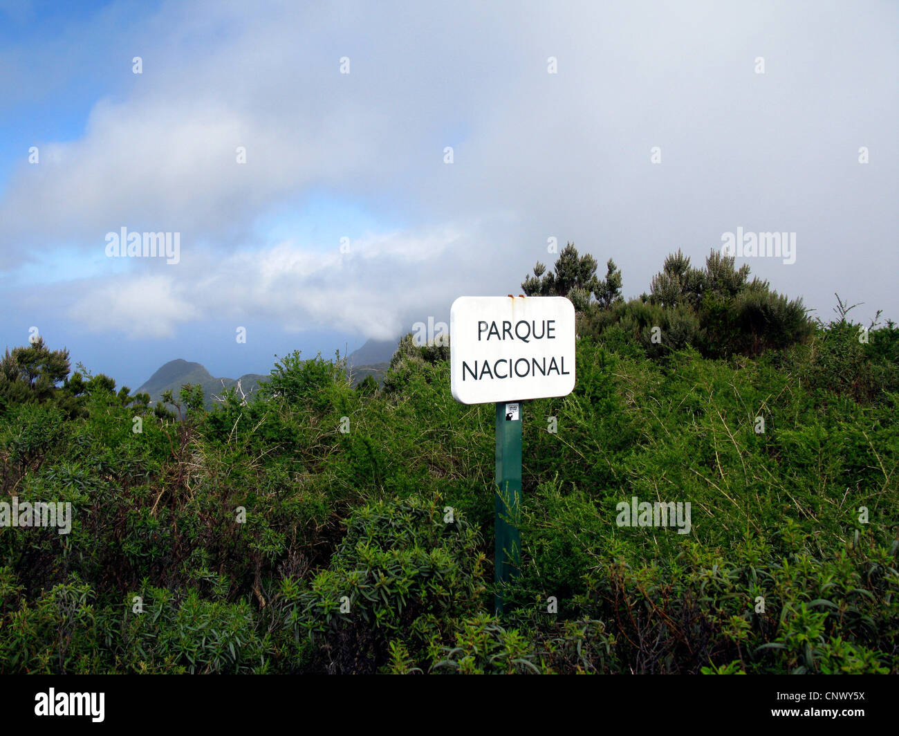 Parco nazionale di firmare a Laura Silva, Isole Canarie, Gomera, Parco Nazionale di Garajonay Foto Stock