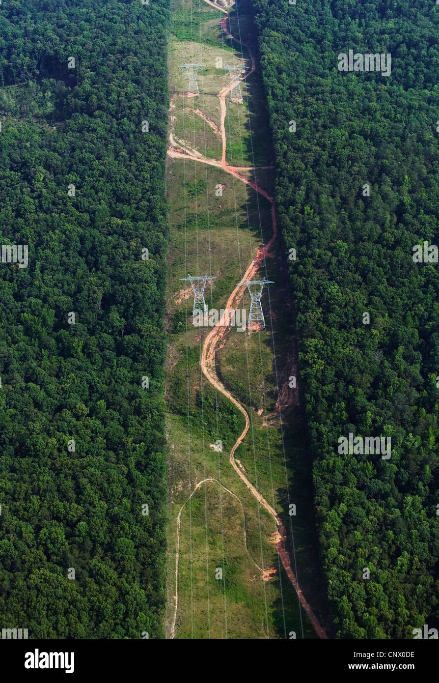 Fotografia aerea swath attraverso la foresta per apparecchiature elettriche powerlines Alabama Foto Stock