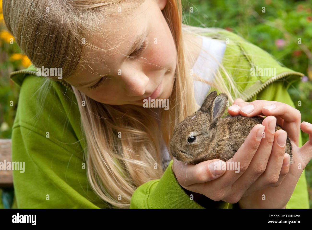 Coniglio europeo (oryctolagus cuniculus), la ragazza con un cucciolo nelle sue mani, Germania Foto Stock