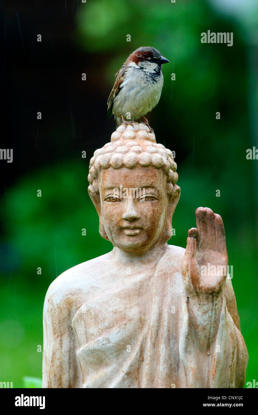 Testa di BUDDHA - Statua Tibetana in Ottone