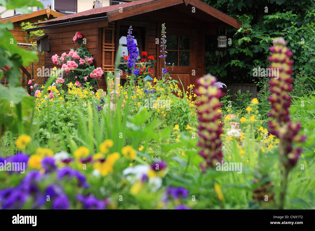 Giardino con fiori e casa estiva, Germania Foto Stock