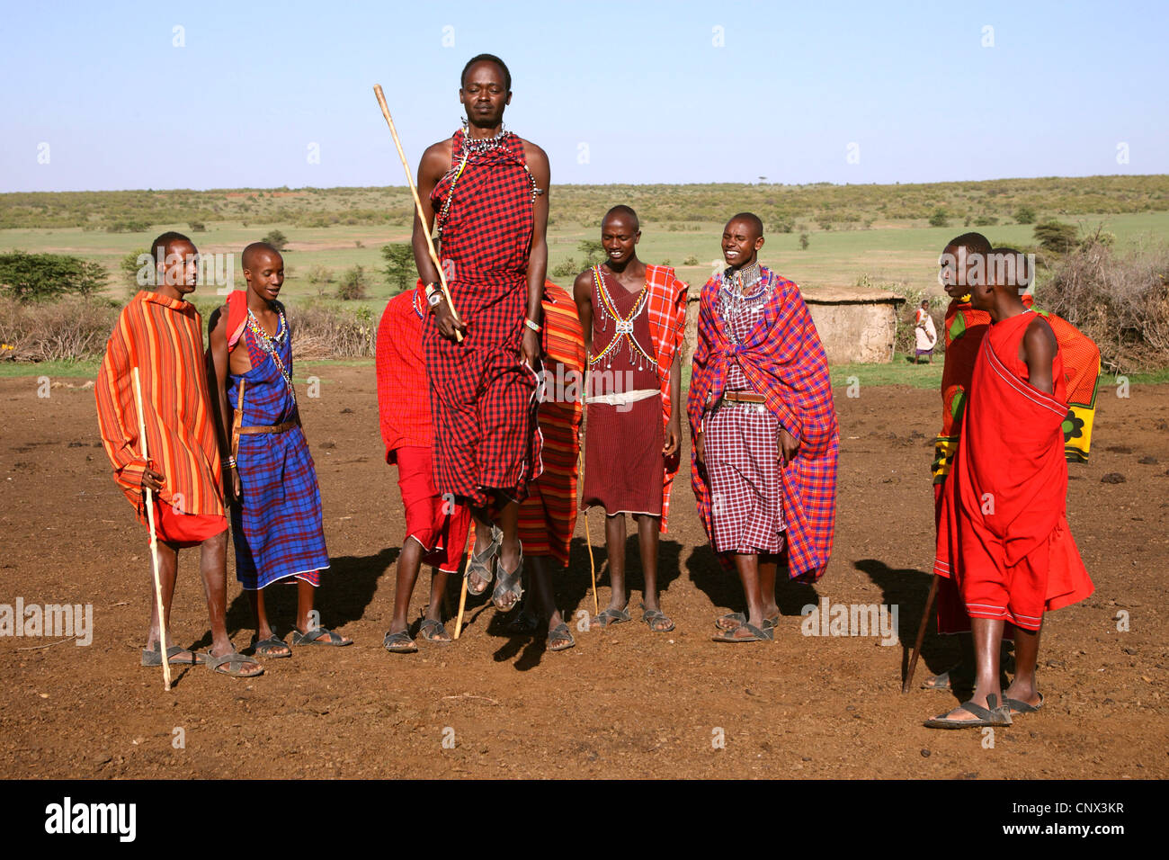 Masai uomini facendo una danza tradizionale, Kenia Masai Mara National Park Foto Stock