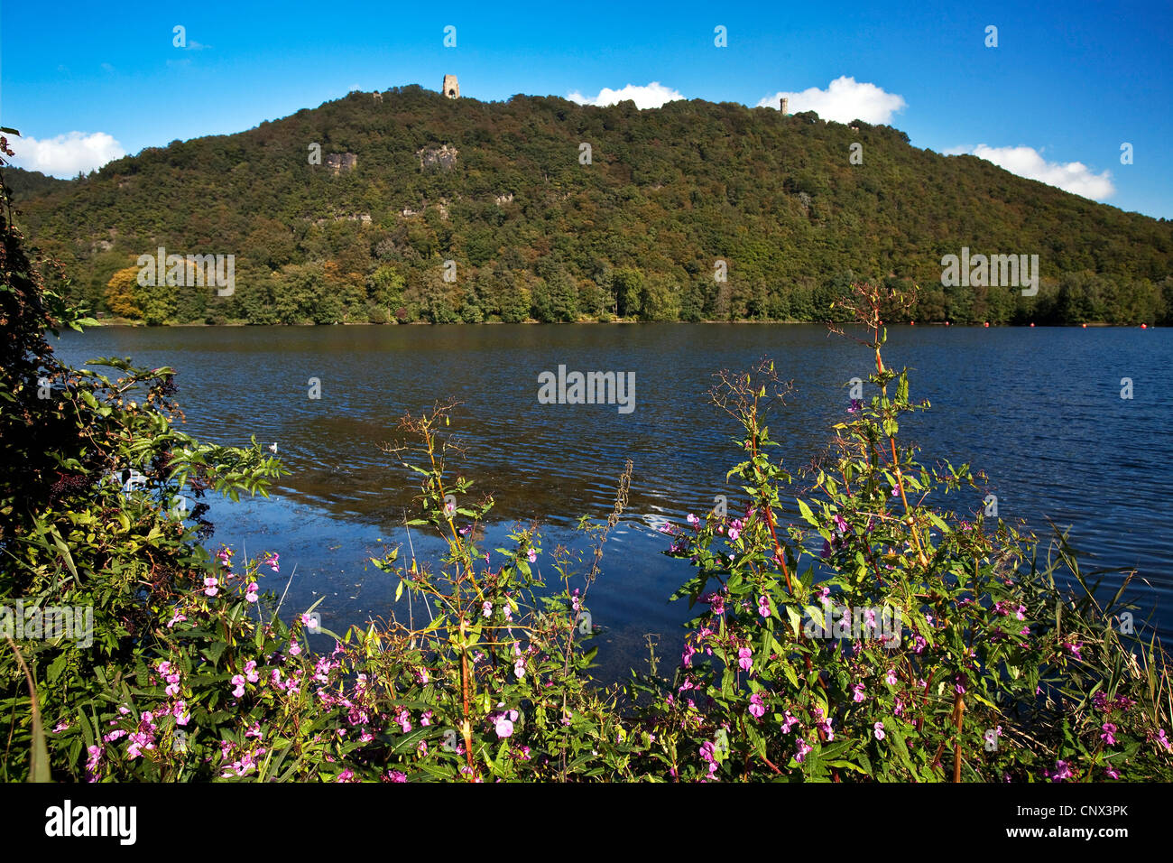 Hengsteysee mit Blick auf das Kaiser Wilhelm Denkmal an der Hohensyburg, in Germania, in Renania settentrionale-Vestfalia, la zona della Ruhr, Hagen Foto Stock