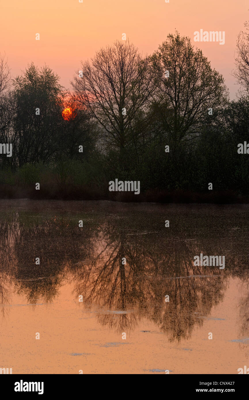 Tramonto su un lago di torbiera, Paesi Bassi Limburg, Groote Peel Parco Nazionale Foto Stock