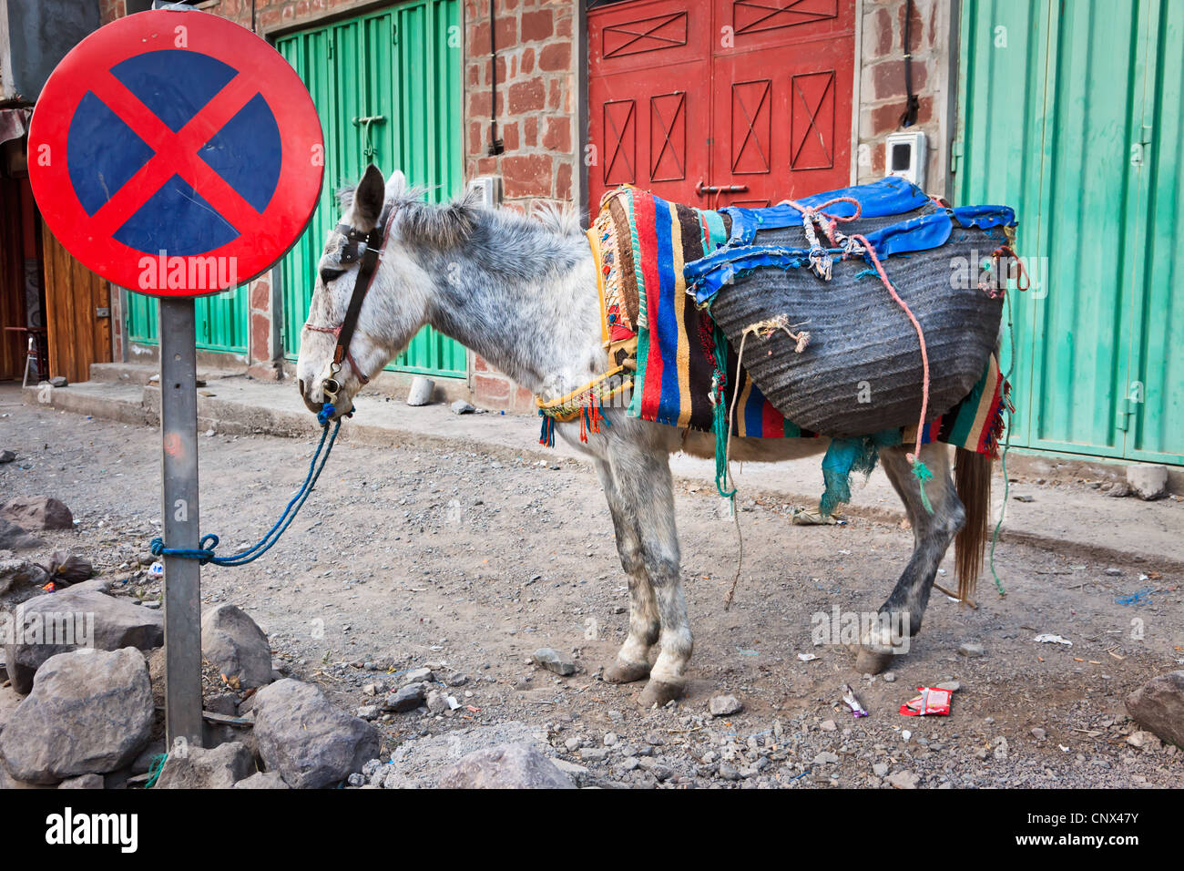 Mulo fissare un nessun arresto cartello stradale, Alto Atlante, Marocco Foto Stock