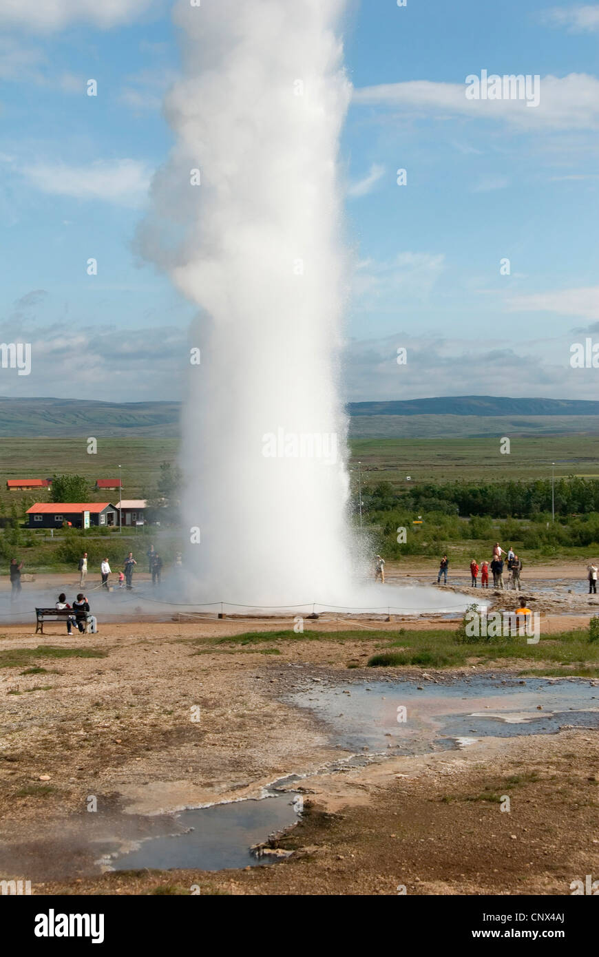 La gente alla colonna d'acqua di geyser Stokkur, Islanda, Haukadalur Foto Stock