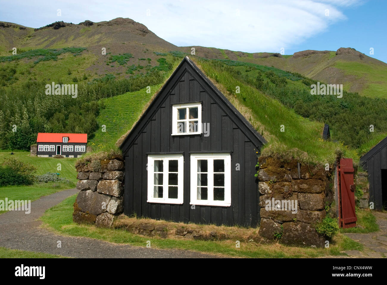 Museo di storia locale e open-air museum Skogasafn con zolla case , Islanda, Skogar Foto Stock