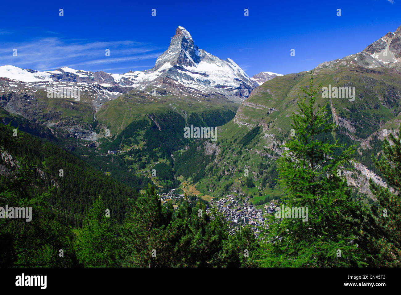 Estate vista dal boscoso pendio di montagna sopra il villaggio a Zermatt Matterhorn, Svizzera Vallese Foto Stock