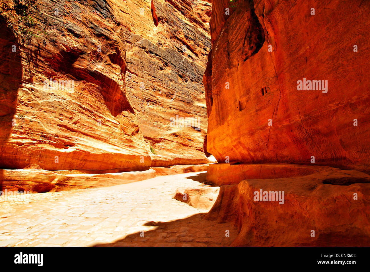 Strada nella gola tra le montagne. Petra, Giordania Foto Stock