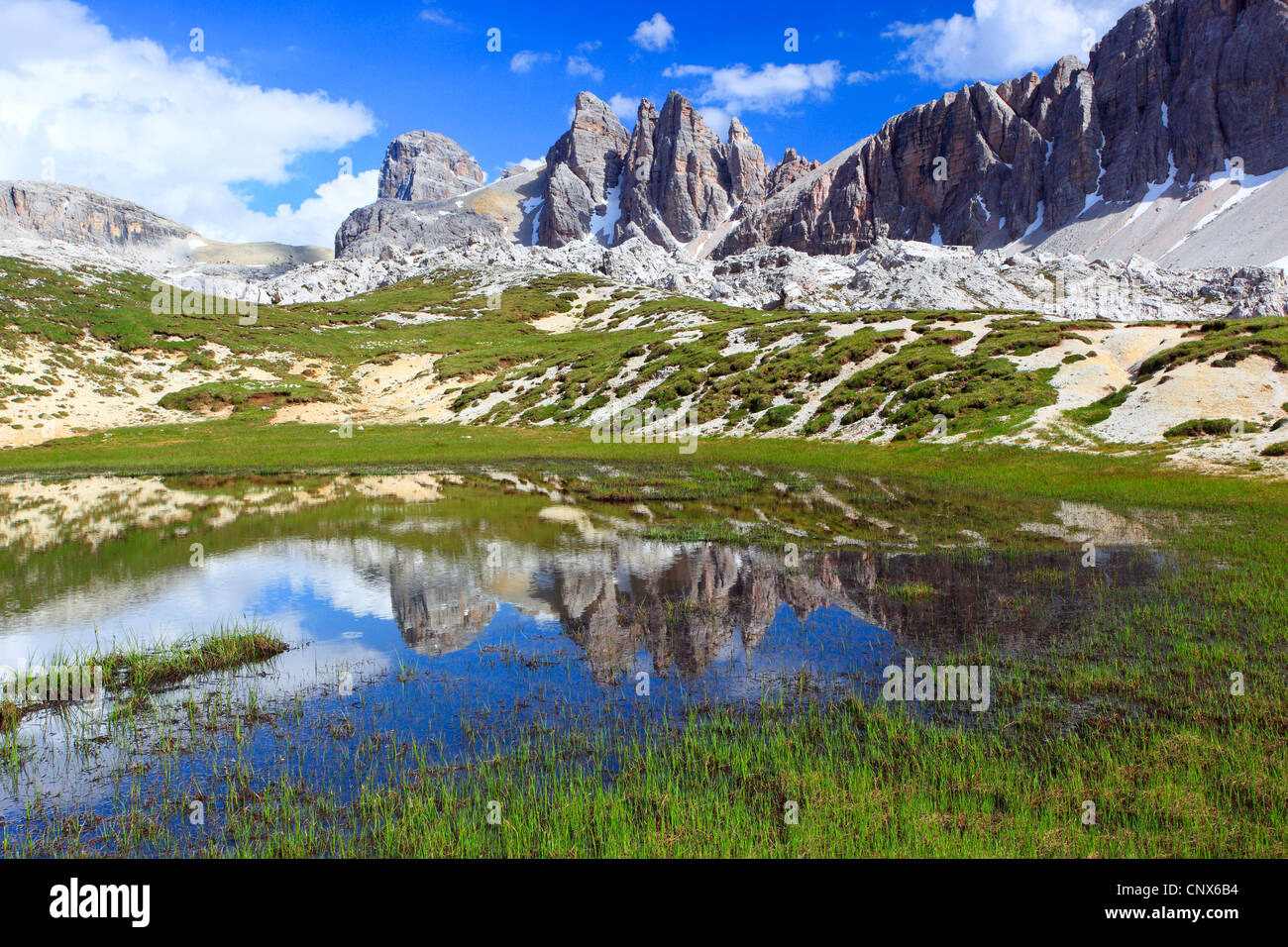 Cardini " Gruppo Cadini di Misurina','estremità meridionale delle Dolomiti, Italia, Alto Adige, Dolomiti Foto Stock