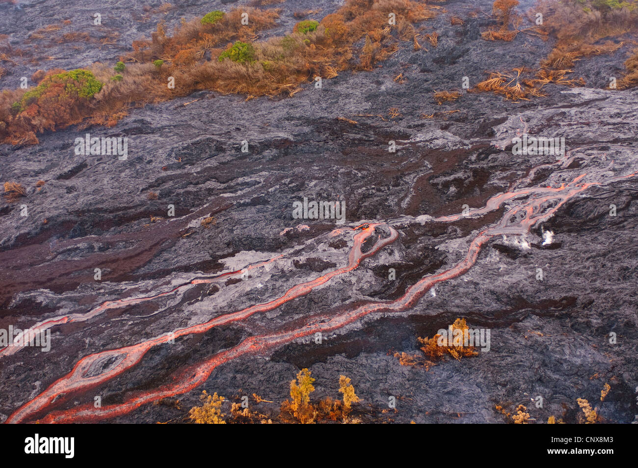 La lava scorre dal vulcano Kilauea, STATI UNITI D'AMERICA, Hawaii, Parco Nazionale dei Vulcani delle Hawaii Foto Stock