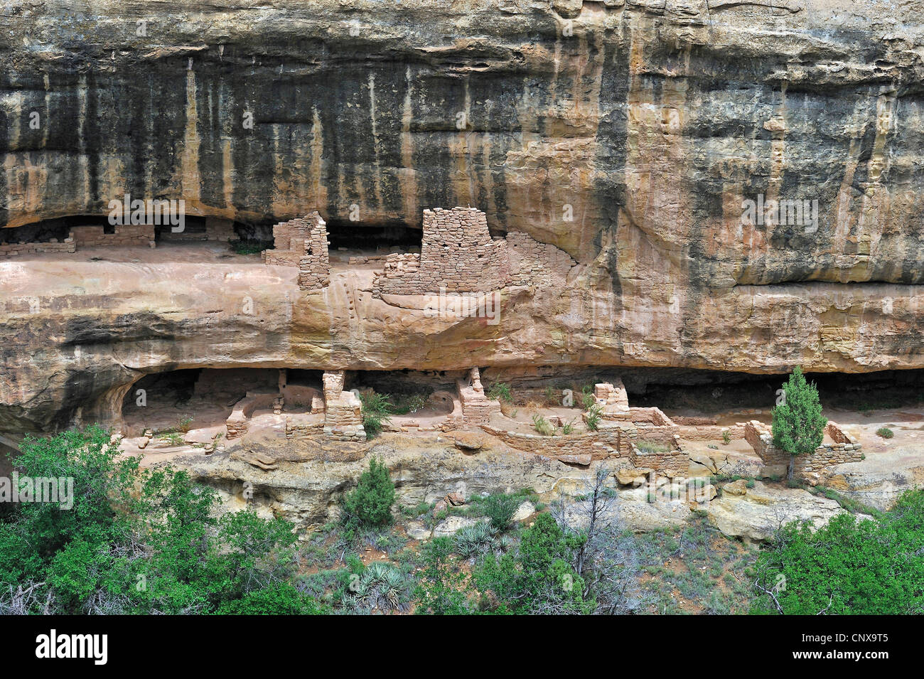 Nuova casa di fuoco, una scogliera dimora del degli antichi Pueblo nativi americani, STATI UNITI D'AMERICA, Colorado, Mesa Verde National Park Foto Stock