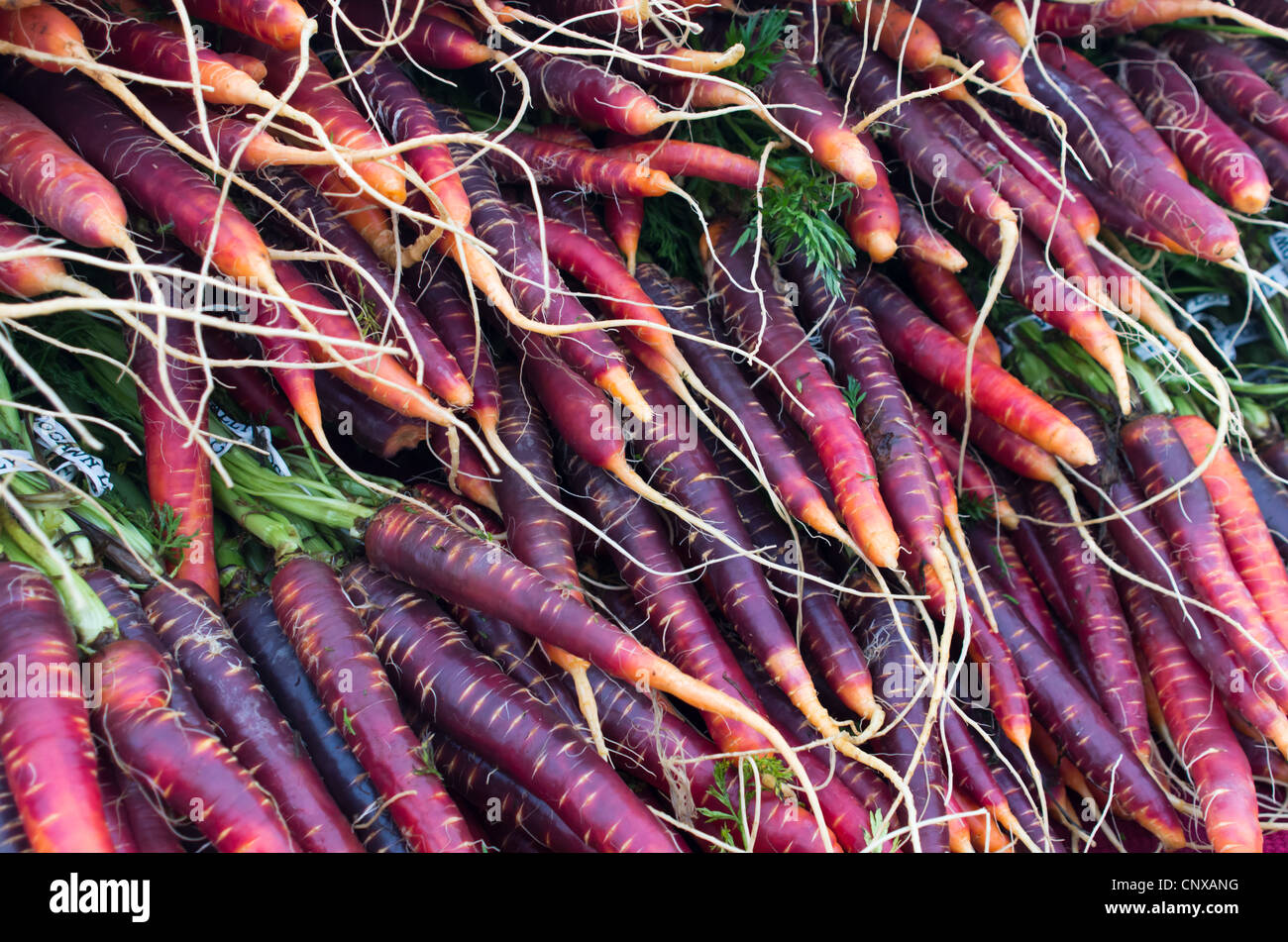 Freschi carote rosse sul display presso il mercato degli agricoltori Foto Stock