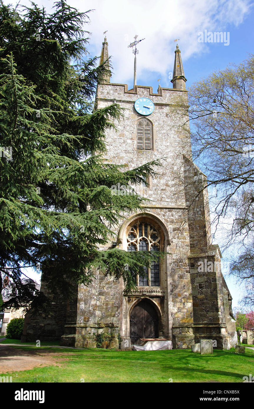 Chiesa di Santa Maria, Hailsham, East Sussex, England, Regno Unito Foto Stock