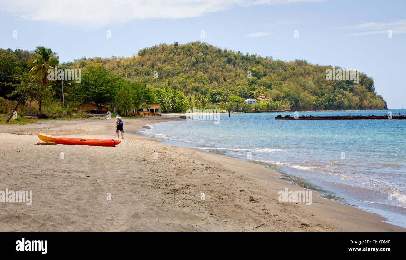La spiaggia di Picard vicino a Portsmouth in Dominica West Indies Foto Stock