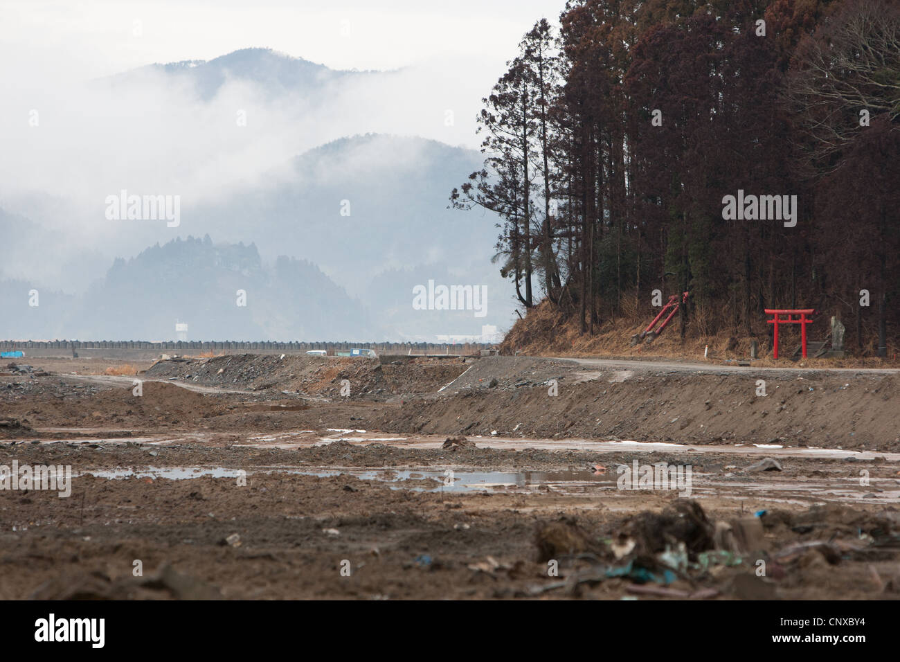 74 Bambini & dieci insegnanti hanno perso la vita a causa del maremoto che ha seguito il terremoto del 11marzo2011, a scuola Okawa, Giappone. Foto Stock