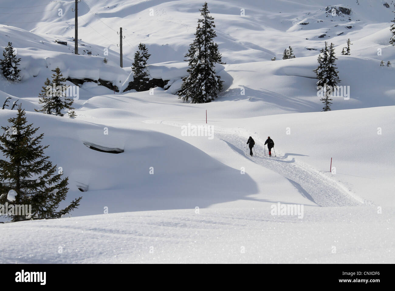 Due escursionisti sulla neve di un percorso con carico Foto Stock