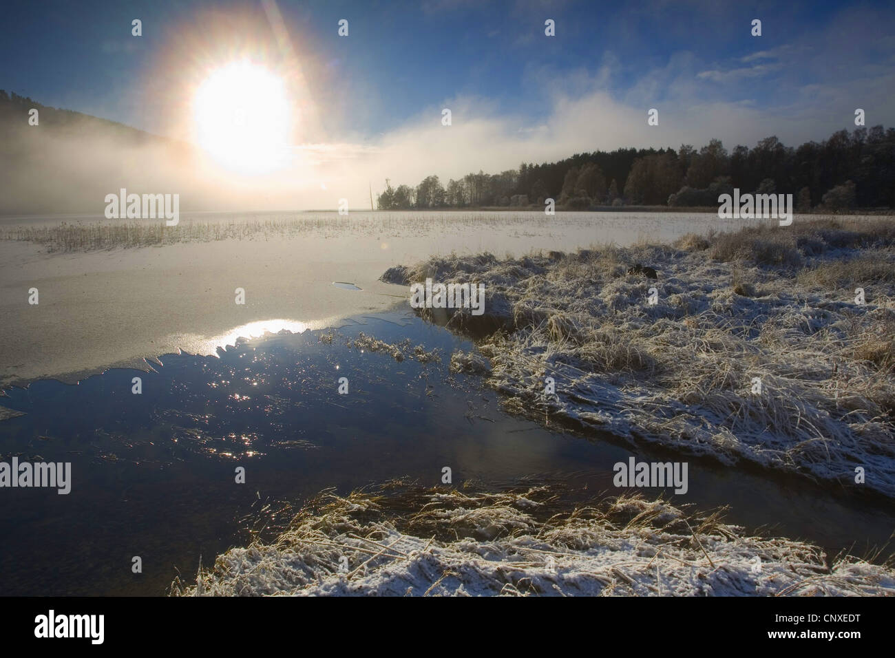 Loch Pityoulish in inverno, Regno Unito, Scozia, Cairngorms National Park, Loch Pityoulish Foto Stock