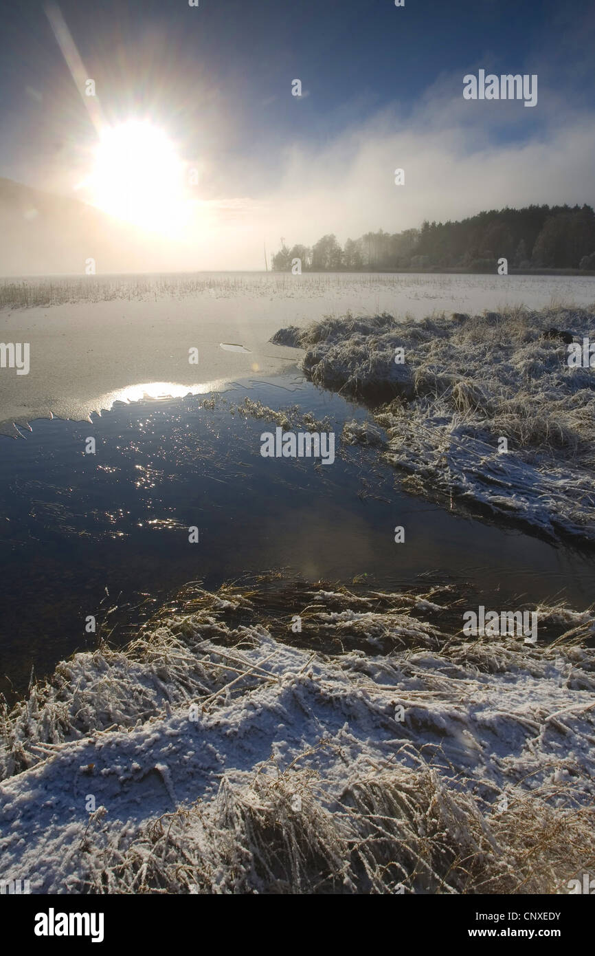 Loch Pityoulish in inverno, Regno Unito, Scozia, Cairngorms National Park, Loch Pityoulish Foto Stock