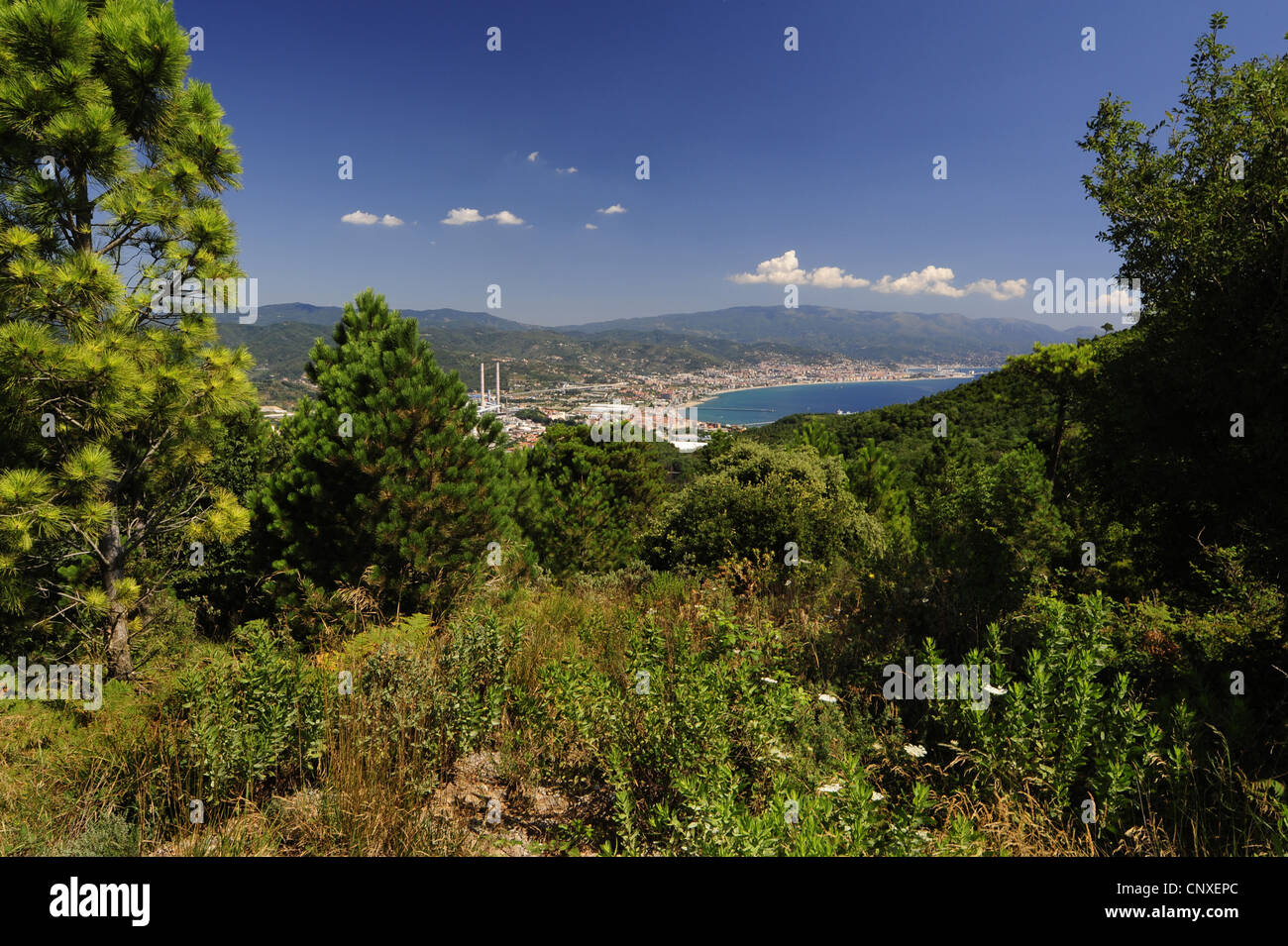 Vista di Savona, Italia, Imperia Liguria Savona Foto Stock