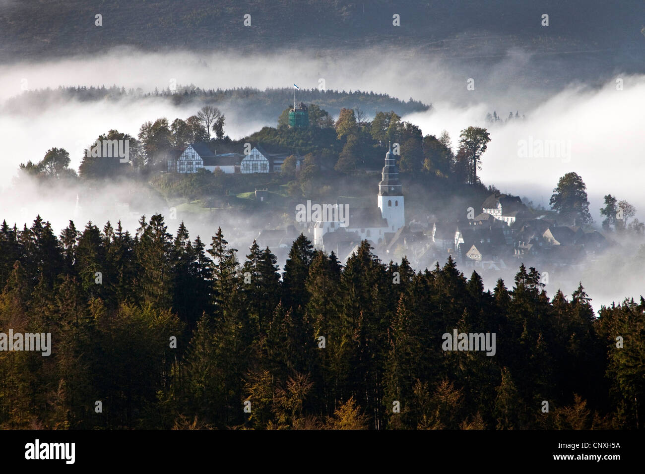 Vista della Foresta di Arnsberg e San Walburga chiesa nella nebbia mattutina, in Germania, in Renania settentrionale-Vestfalia, Sauerland, Meschede Foto Stock