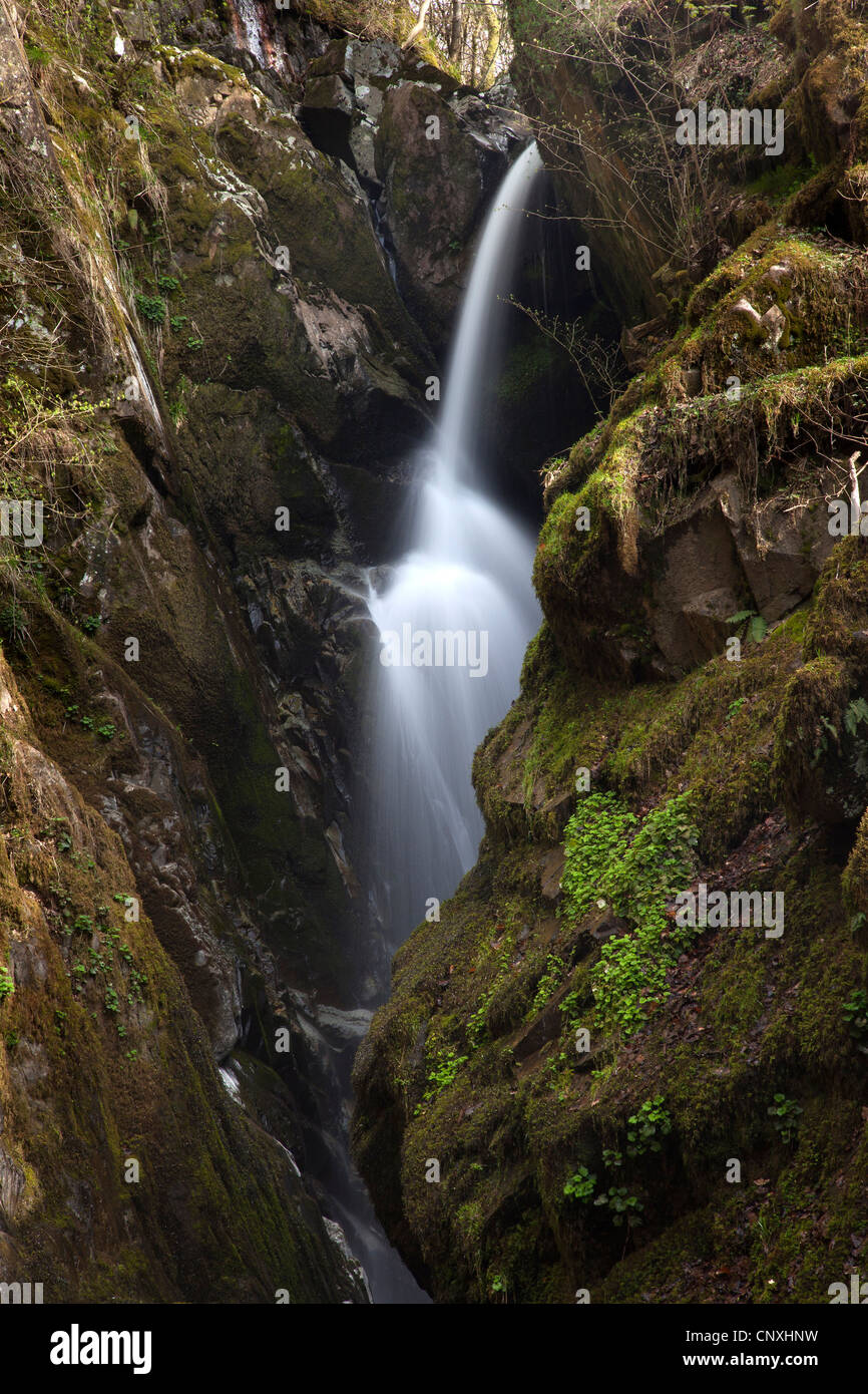 Aira Force, Ullswater, Parco Nazionale del Distretto dei Laghi, Cumbria Foto Stock