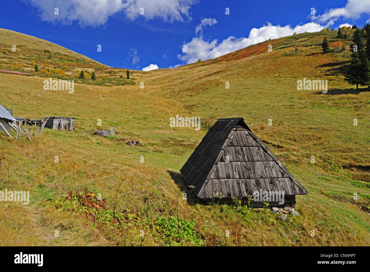 Tettoia in legno su un alpeggio, Montenegro, Biogradska Gora Parco Nazionale Foto Stock