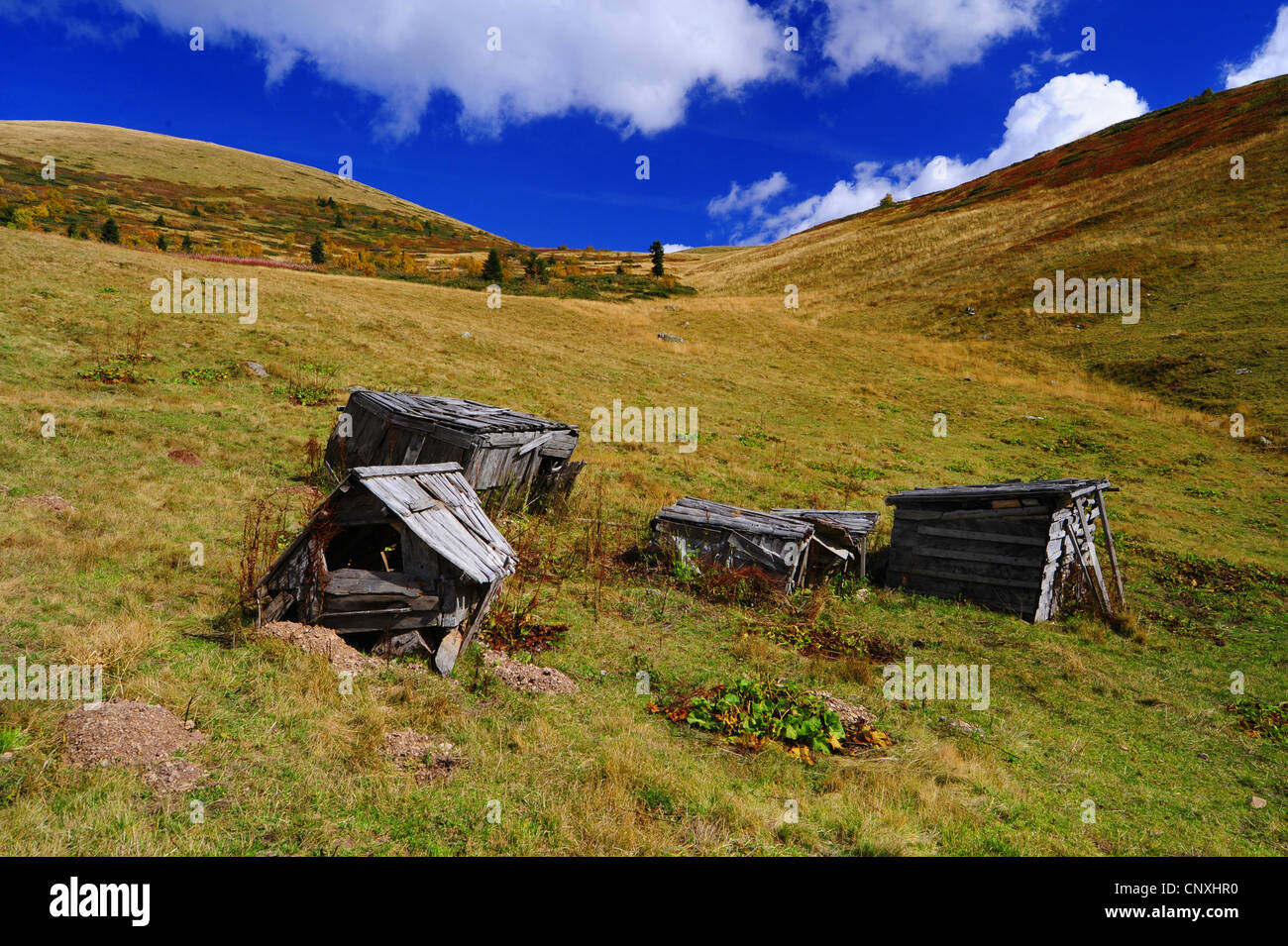 Cariati capannoni in legno su un alpeggio, Montenegro, Biogradska Gora Parco Nazionale Foto Stock