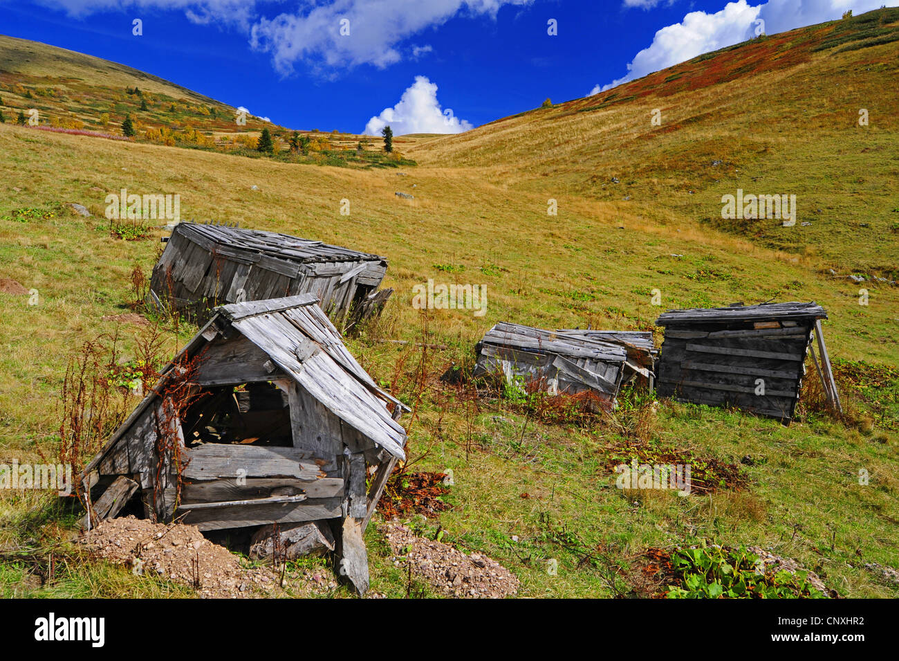 Cariati capannoni in legno su un alpeggio, Montenegro, Biogradska Gora Parco Nazionale Foto Stock