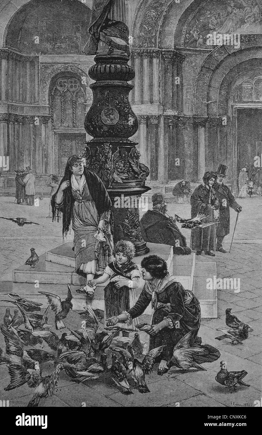 Alimentazione di piccioni in Piazza San Marco a Venezia, Italia, storica incisione, 1883 Foto Stock