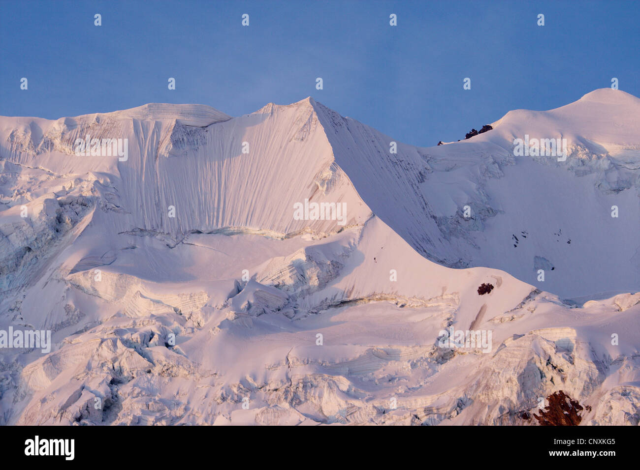 Illimani nella luce della sera, Bolivia, Ande Cordillera Real Foto Stock