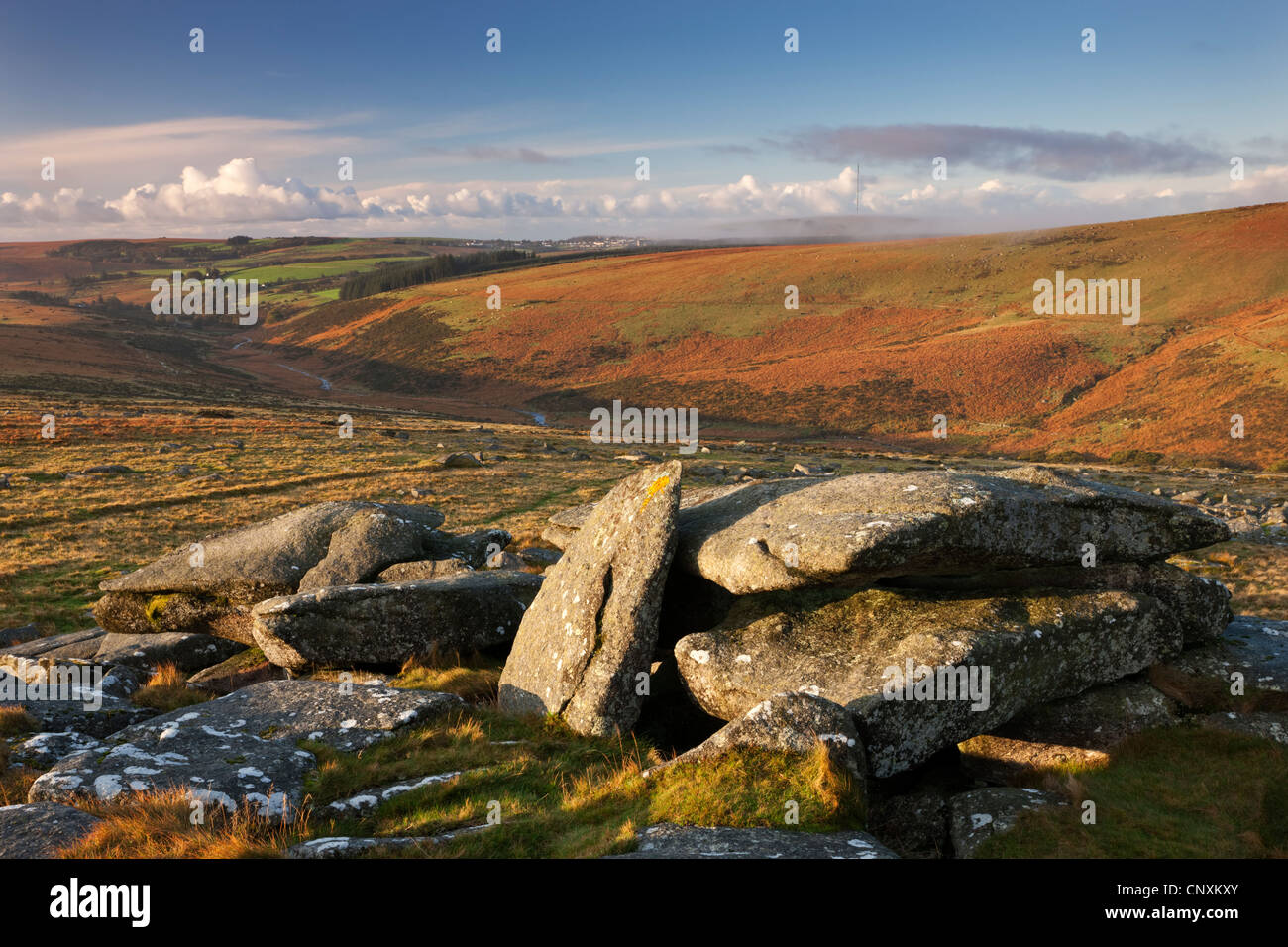 Dartmoor moorland vista da Littaford Tor nei pressi di due ponti, Dartmoor Devon, Inghilterra. In autunno (ottobre 2011). Foto Stock