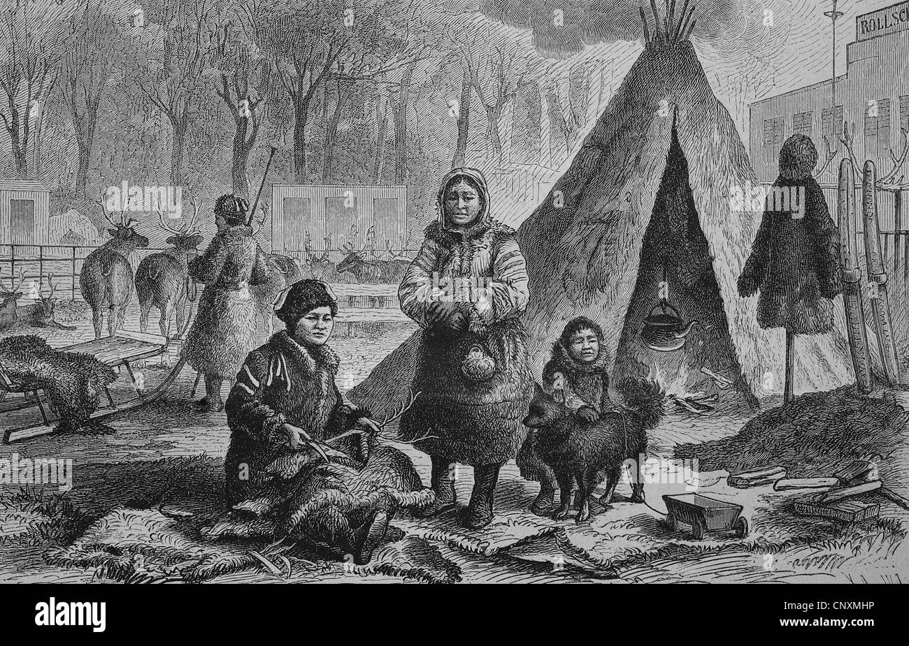 Il Samoiedo nel Giardino Zoologico di Leipzig, in Sassonia, Germania, storica incisione, 1883 Foto Stock