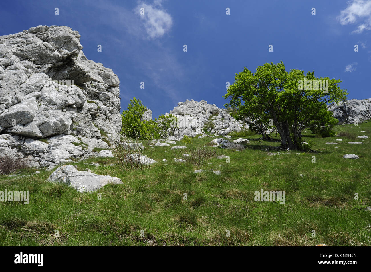 Paesaggio carsico in Natur Park Velebit, Croazia, Velebit Foto Stock